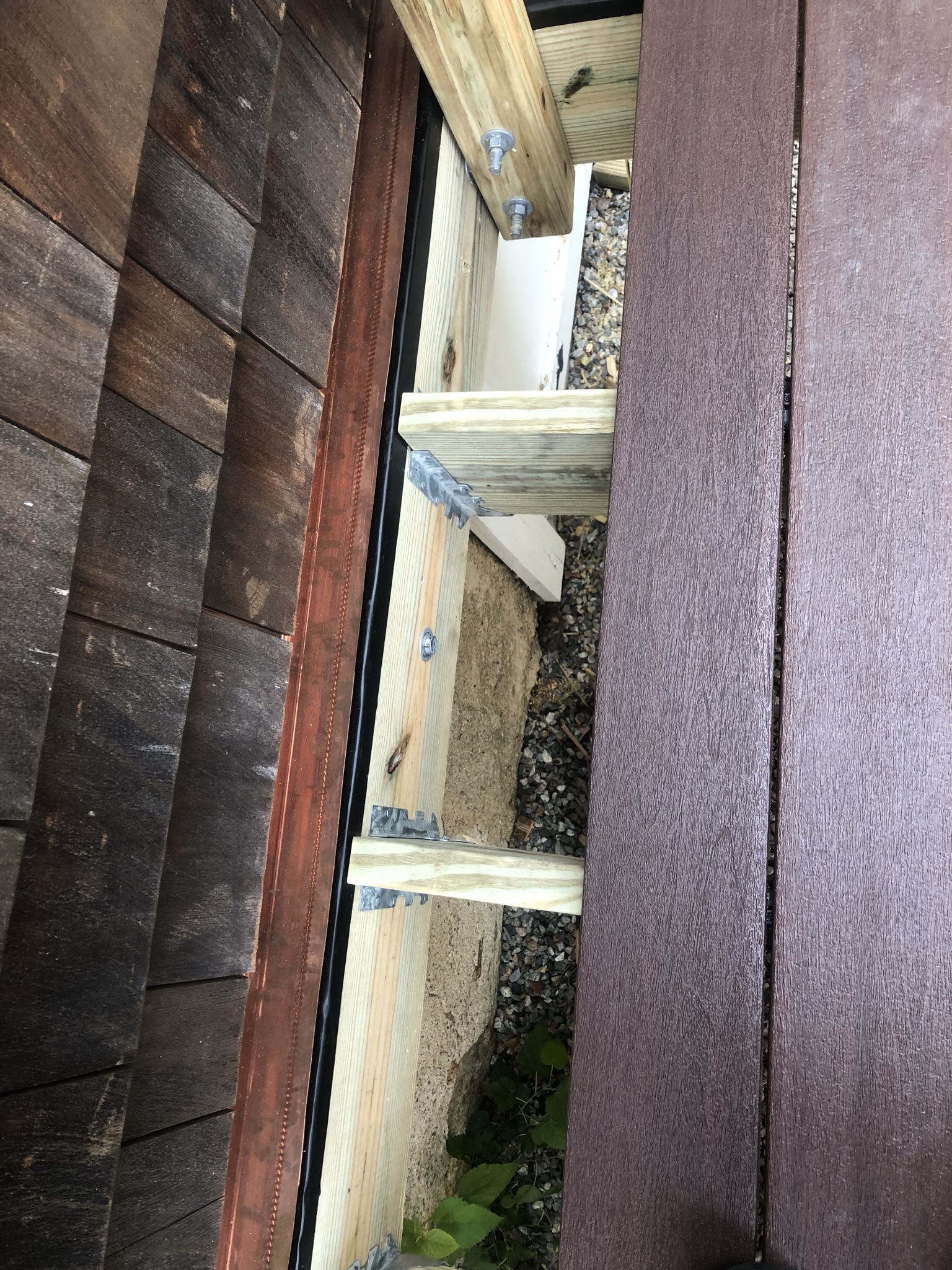 IMG_1821.JPEG