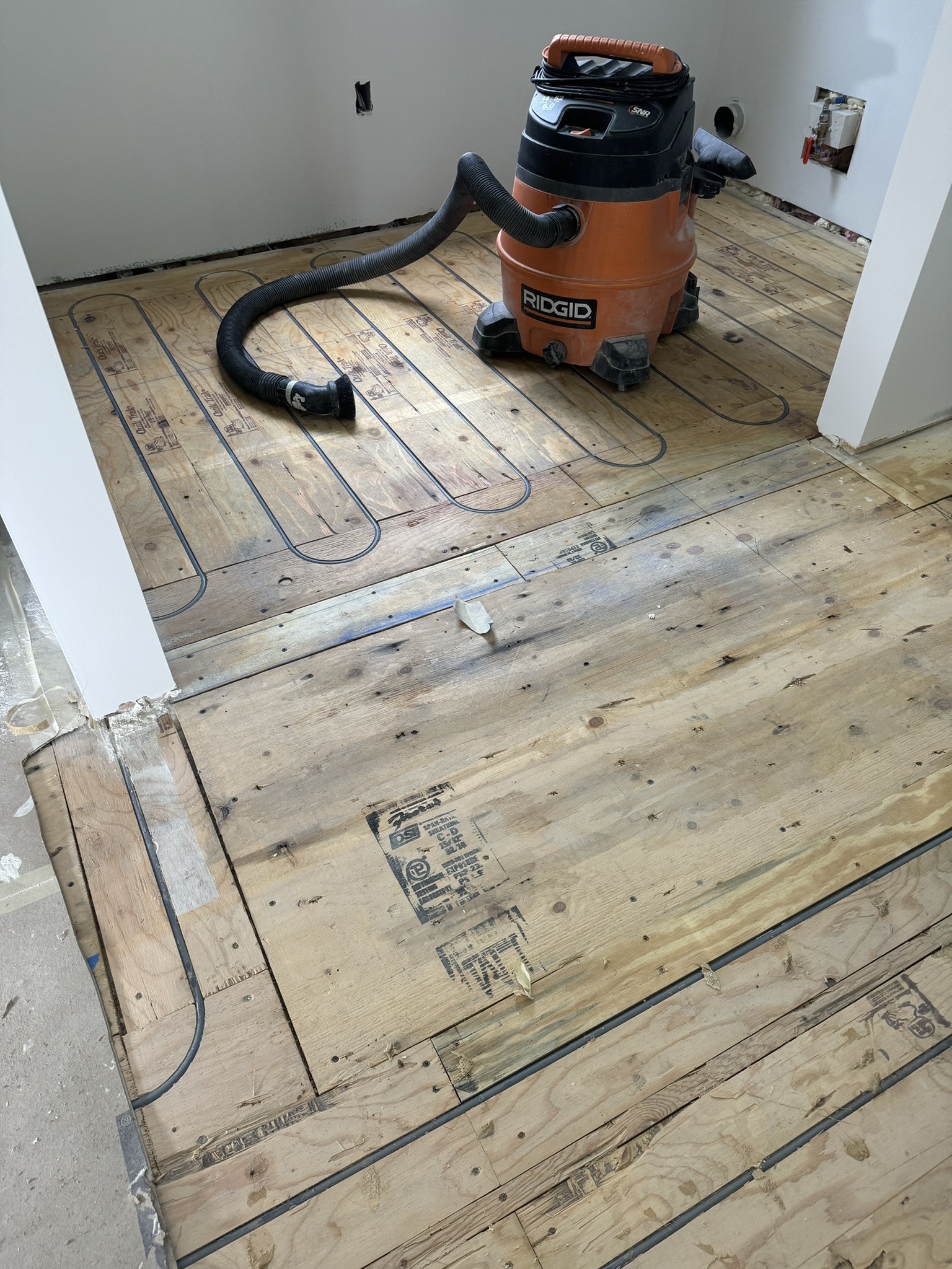IMG_1254.JPEG